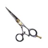 Hair Scissor (PLF-M50V2)
