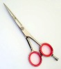 Hair Scissors