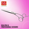 Hair Scissors