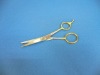 Hair Scissors