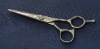 Hair Scissors HT-550