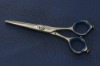 Hair Scissors LK-500