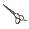 Hair Scissors (PLF-50AS)