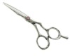 Hair Scissors (PLF-55MS)