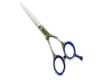Hair Scissors (PLF-55RD)