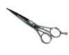 Hair Scissors (PLF-60D)
