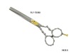 Hair Scissors (PLF-F60MS)