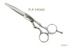 Hair Scissors (PLF-F60MS)