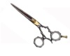 Hair Scissors (PLF-M255BB)