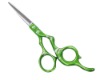 Hair Scissors (PLF-N3D60)