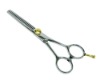 Hair Scissors (PLF-T535B)
