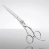 Hair cutting shears
