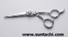 Hair scissors (D2)