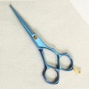 Hair scissors (PLF-2B55YJ)