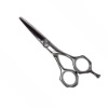 Hair scissors (PLF-50E1)