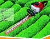 Hedge Trimmer