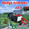 Hedge Trimmer (GHT8231)