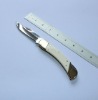 High Quality Gift Knife With White OX Bone Handle