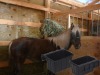 Horse feeder buckets,rubber buckets,hanging manger
