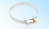 Hose Clamps