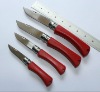 Hot Sell Kitchen Knife With ABS Handle