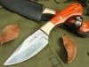 Hunting survival knife/Medium straight knife/hunting knife with sheath