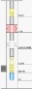 Hydraulic Acid fracturing string