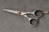 Japanese Hair cutting scissors 2AA-50G