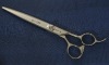 Jpanese steel Hair Cutting Scissors BF-750