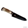 Knife blade 14 cm Inox Schmieder, Handle in Staghorn.