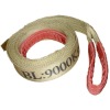 Latest high tenacity printed webbing sling