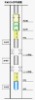 Mechanical, hierarchical oil extracting tube