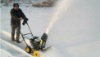 Mini Snow Blower (RH040A)