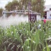 Mounted Boom Hi-cropsprayer