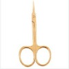 Nail Scissors