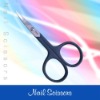 Nail scissor curved