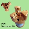 Non Coring PDC Bits