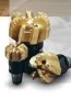 PDC Bit/ PDC Drill bit/ PDC Non-coring bit