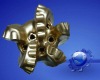 PDC Matrix Drill Bit