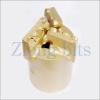 PDC/PCD Drag Drill Bit
