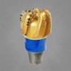 PDC Petroleum Drill Bit