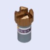 PDC bits --- Hydroelectric drill bit
