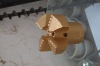 PDC drag drill bits