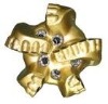 PDC oil bit/pdc drill bit/pdc drill bits/pdc petroleum bit