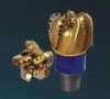 PDC petroleum bit