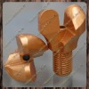 PDC roof anchor bolt