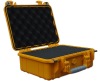 PELICAN similar case