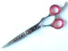 PROFESSIONAL HAIRDRESSING SCISSORS J4 STAINLESS STEEL