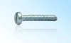 Pan Head Tapping Screws with S