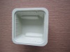 Plastic Paint Tray